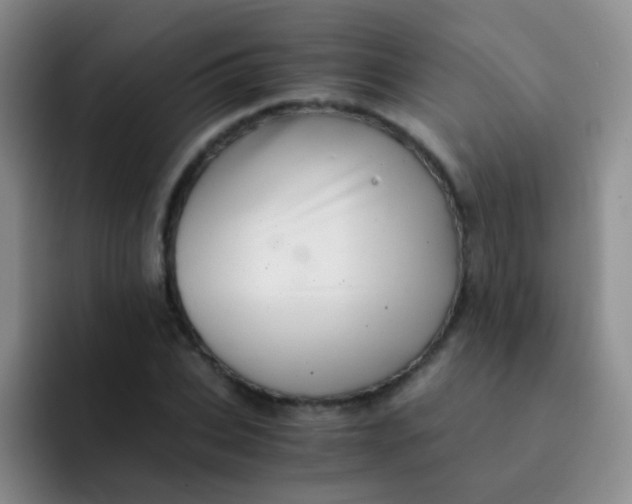 X0000091940927200709261930