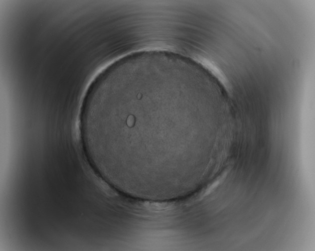 X0000091940928200709261930