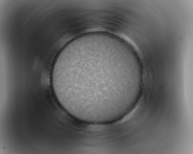 X0000091940929200709261930