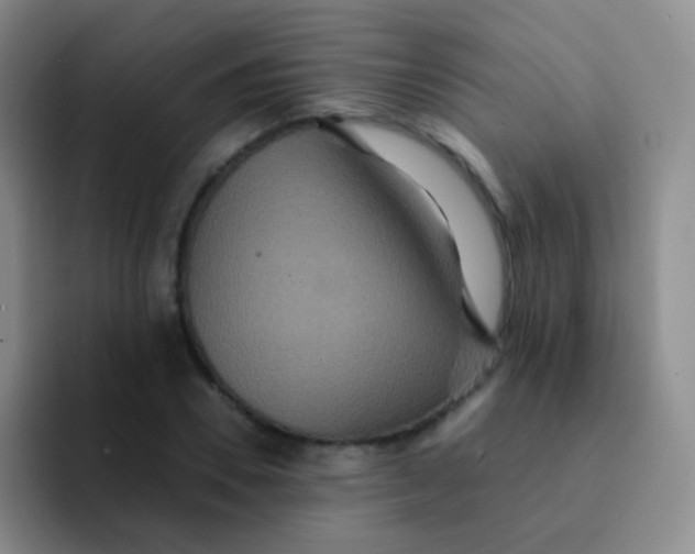 X0000091940930200709261930