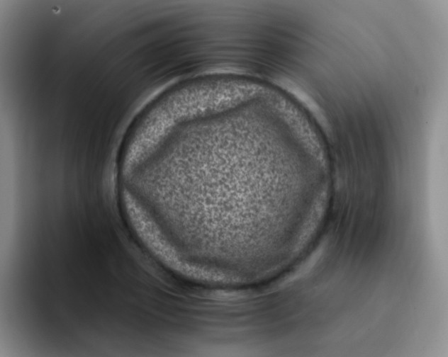 X0000091940933200709261930