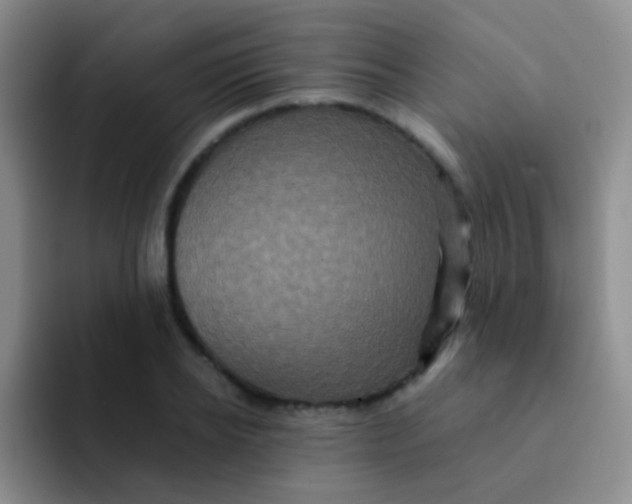 X0000091940934200709261930