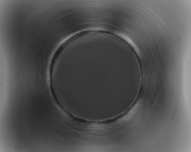 X0000091940935200709261930