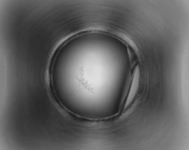 X0000091940936200709261930