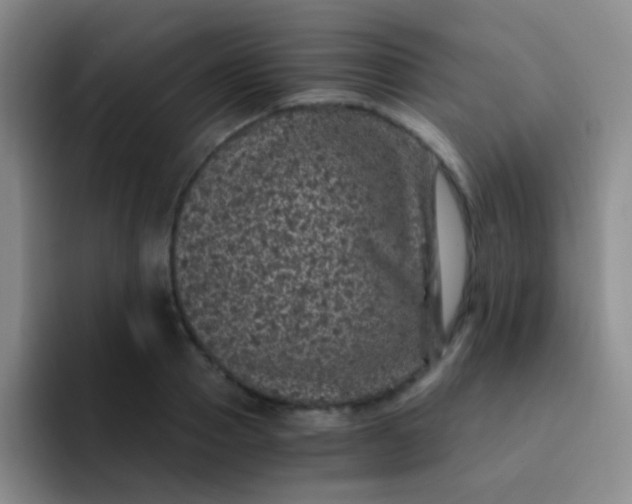 X0000091940937200709261930