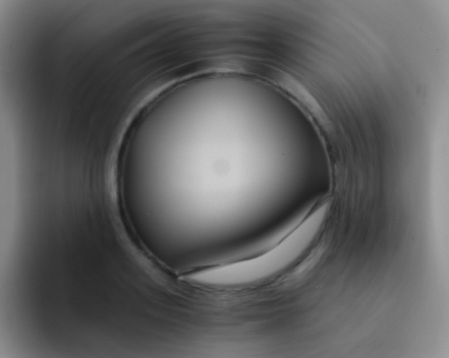 X0000091940939200709261930