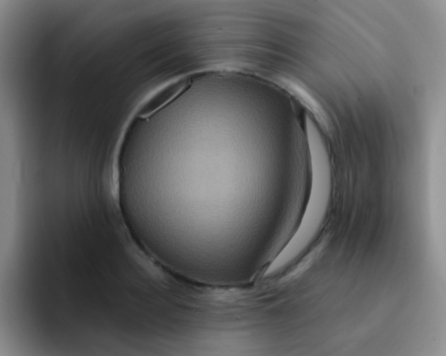 X0000091940940200709261930