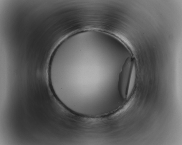 X0000091940941200709261930