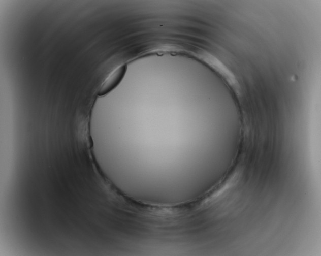 X0000091940945200709261930