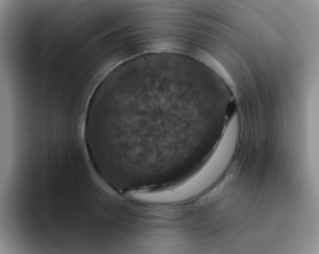 X0000091940946200709261930