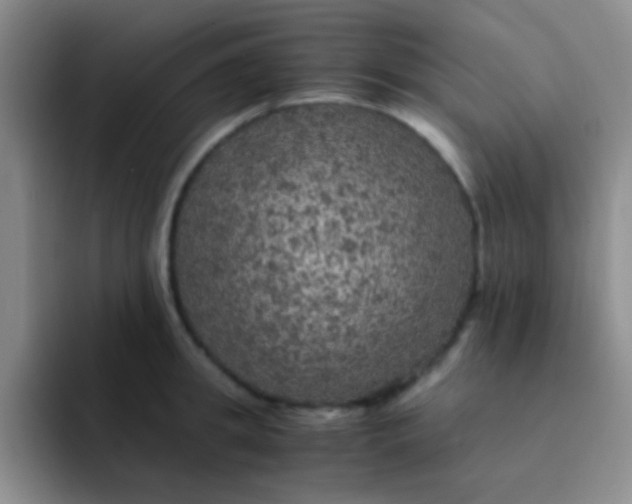 X0000091940949200709261930