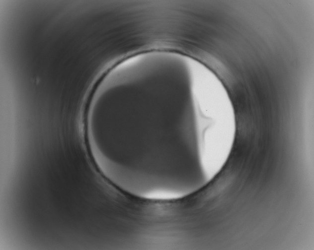 X0000091940950200709261930