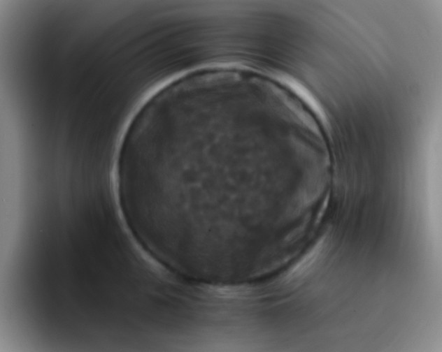 X0000091940951200709261930