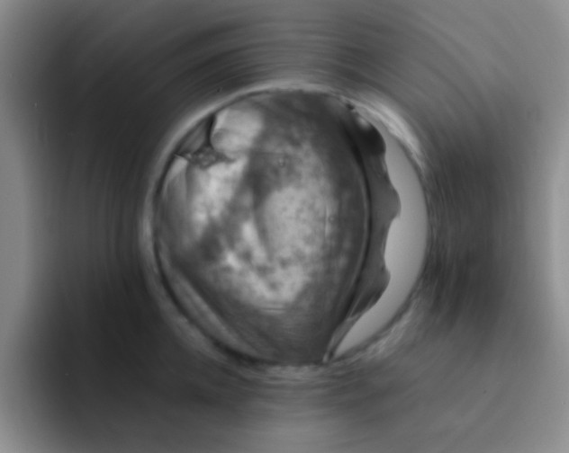 X0000091940952200709261930