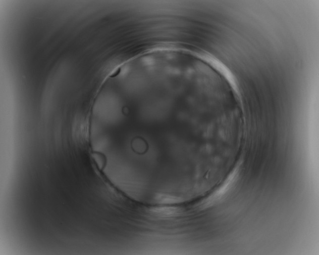 X0000091940953200709261930