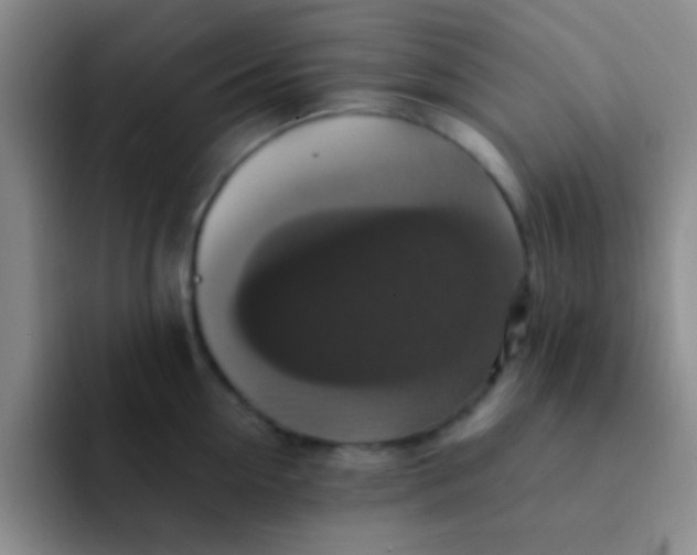 X0000091940954200709261930