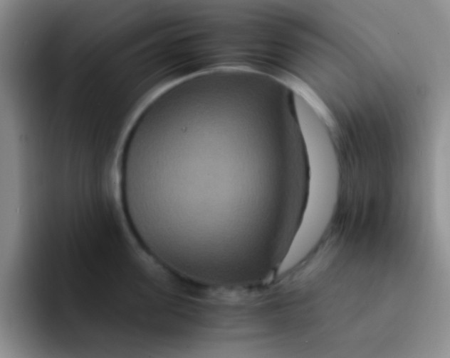 X0000091940955200709261930