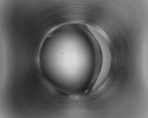 X0000091940956200709261930