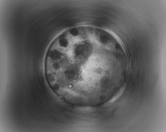 X0000091940957200709261930