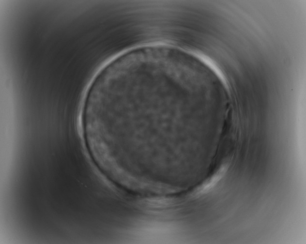 X0000091940959200709261930