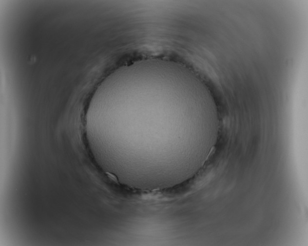 X0000091940961200709261929