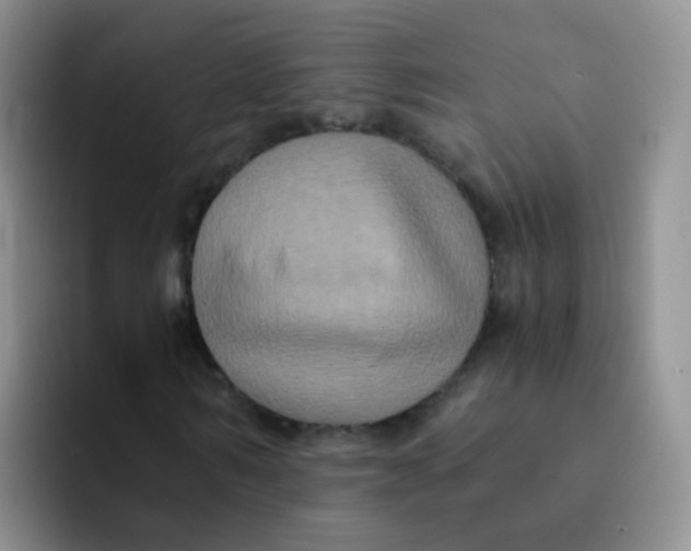 X0000091940962200709261929