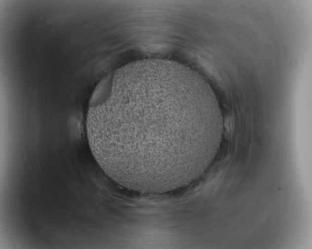 X0000091940963200709261929