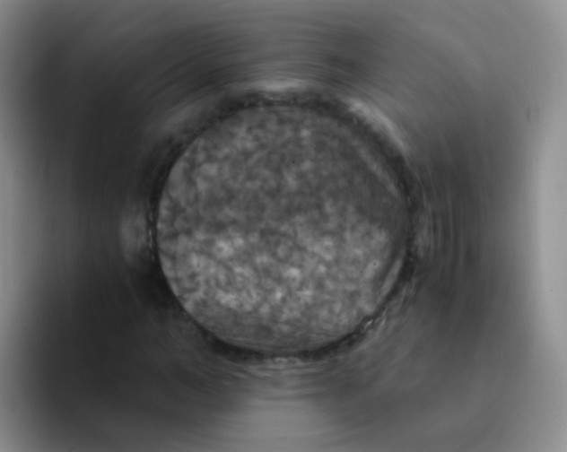 X0000091940966200709261929