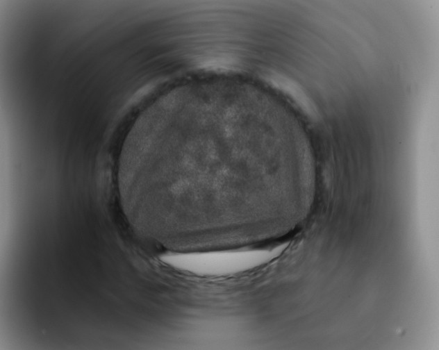 X0000091940968200709261929