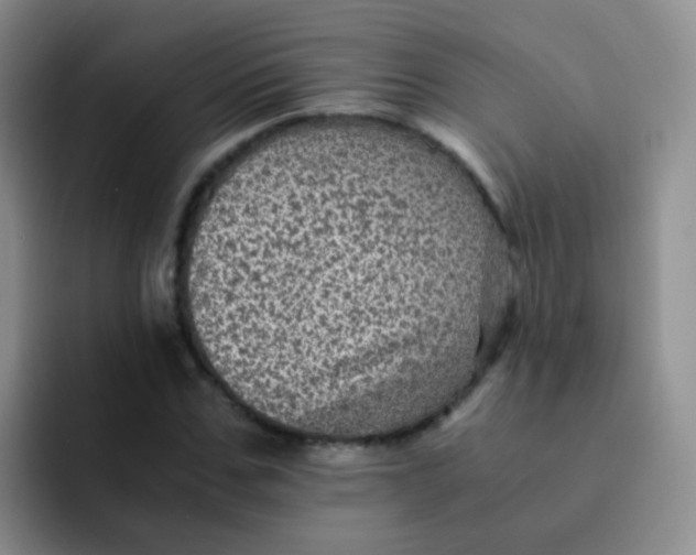 X0000091940971200709261929