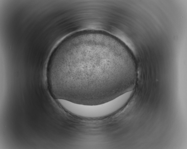 X0000091940972200709261929