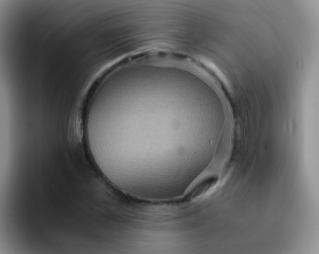 X0000091940973200709261929