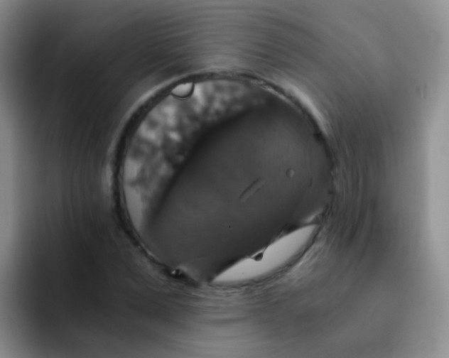 X0000091940975200709261929