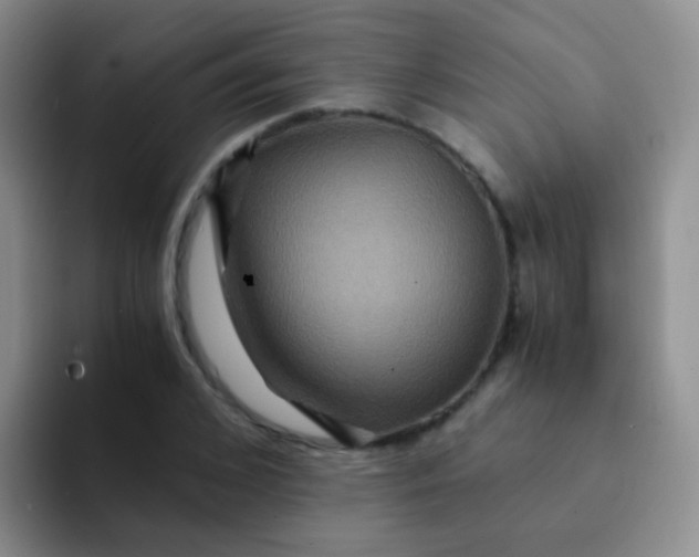 X0000091940976200709261929