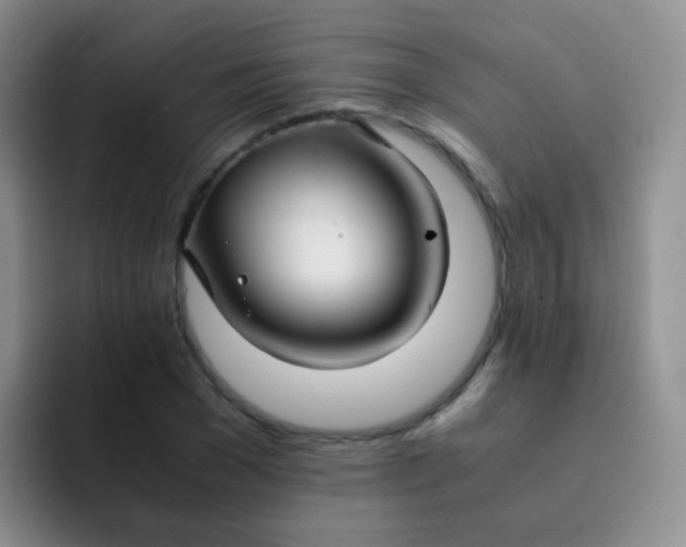 X0000091940977200709261929