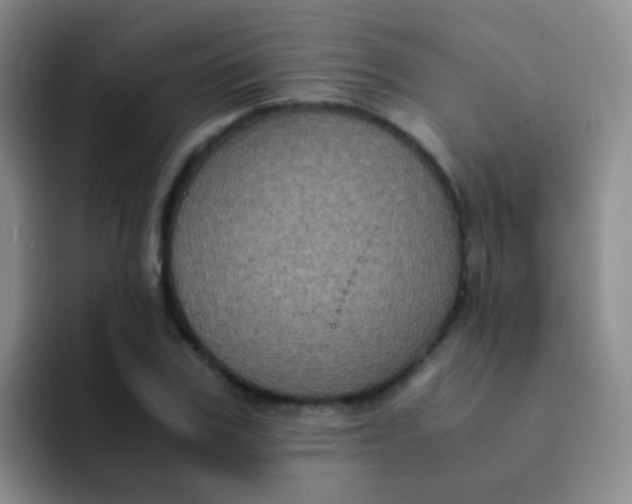 X0000091940979200709261929