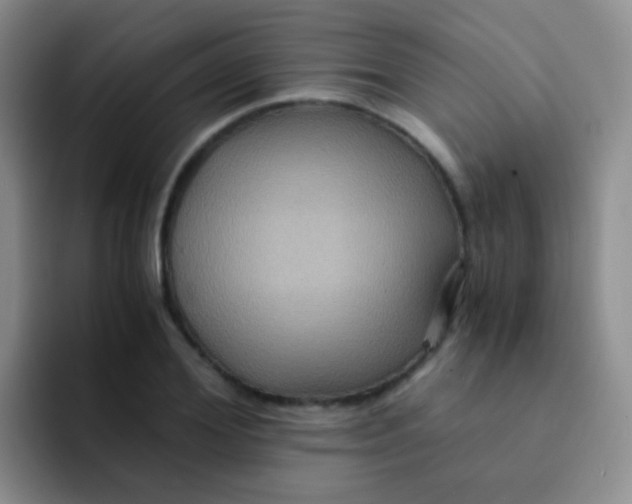 X0000091940980200709261929