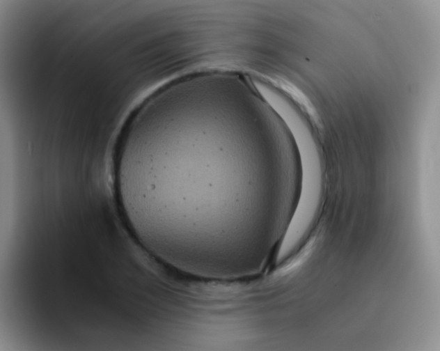 X0000091940981200709261929