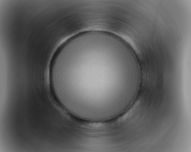 X0000091940982200709261929