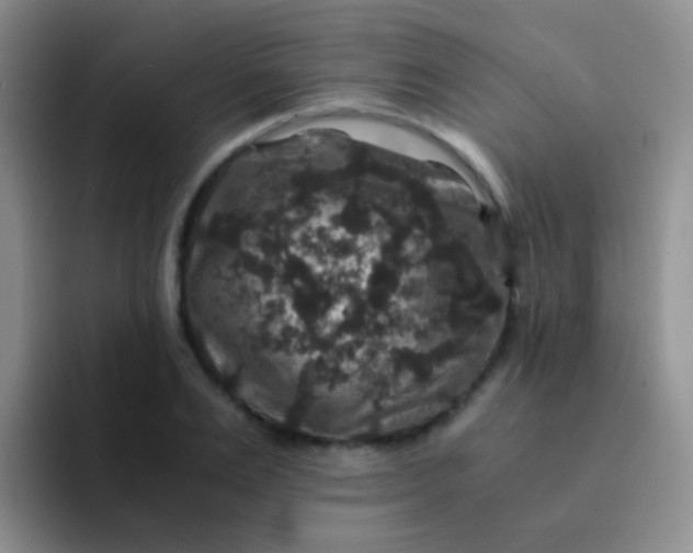 X0000091940983200709261929