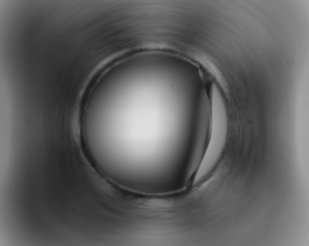 X0000091940984200709261929