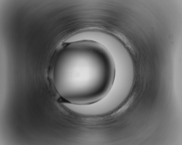 X0000091940985200709261929