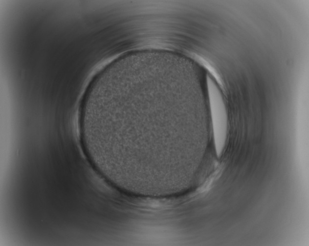 X0000091940987200709261929