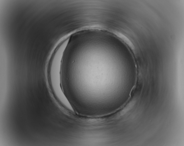 X0000091940989200709261929