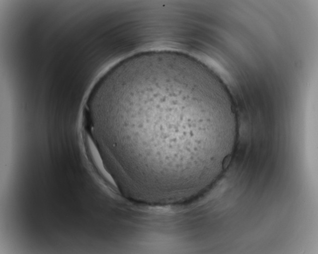 X0000091940990200709261929