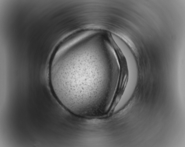 X0000091940992200709261929