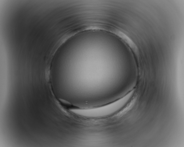 X0000091940993200709261929