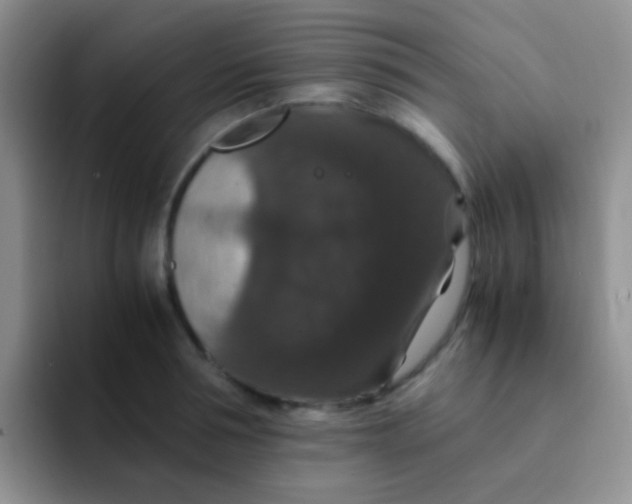 X0000091940994200709261929