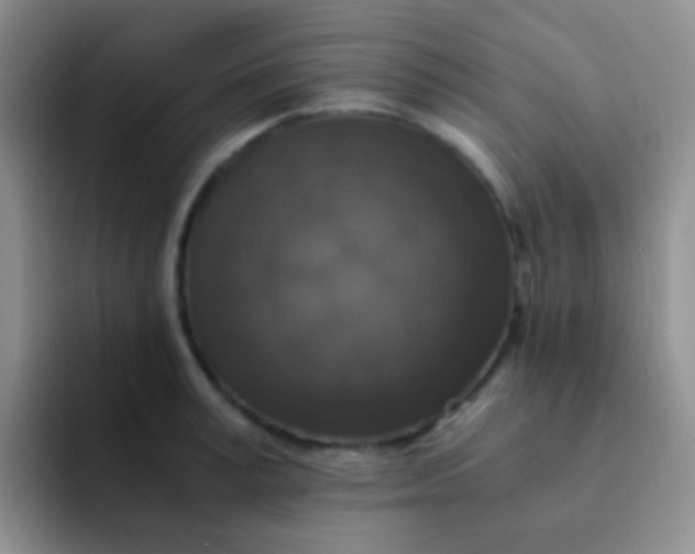 X0000091940995200709261929