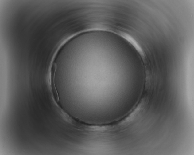 X0000091940996200709261929